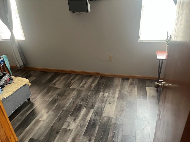 interior space with baseboards and wood finished floors