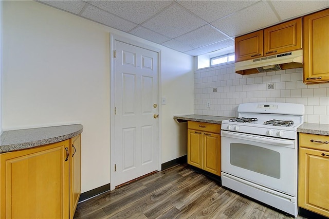kitchen with under cabinet range hood, decorative backsplash, gas range gas stove, and dark wood finished floors