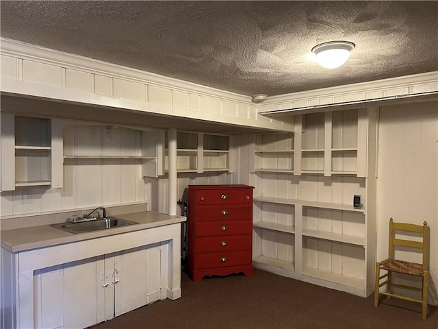 storage with a sink