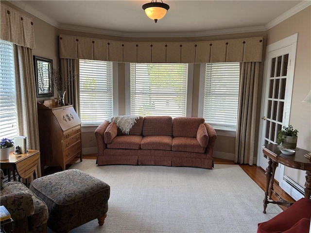 living room featuring crown molding, light wood finished floors, baseboards, and baseboard heating