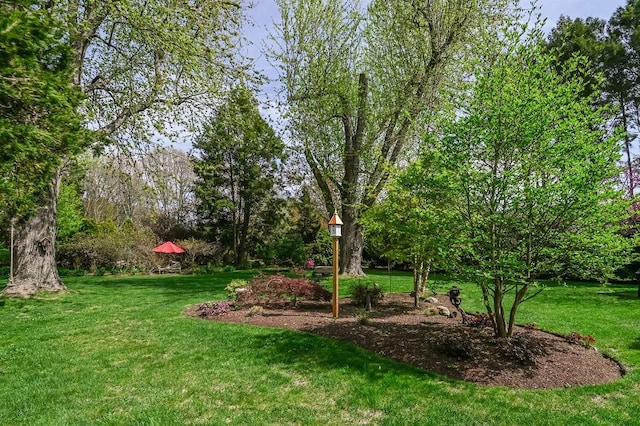 view of grassy yard