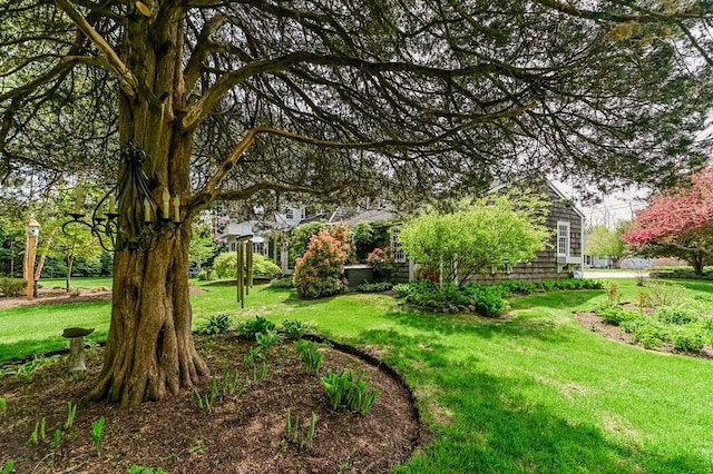 view of grassy yard