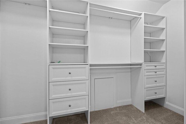 spacious closet featuring carpet floors