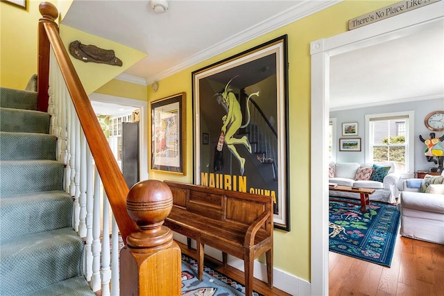 15 Cross St, Newport, RI 02840 - stairs with crown molding, wood finished floors, and baseboards