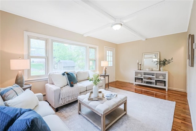 7 Maggio Ave, Westerly, RI 02891 - living room with wood finished floors, baseboards, and beam ceiling
