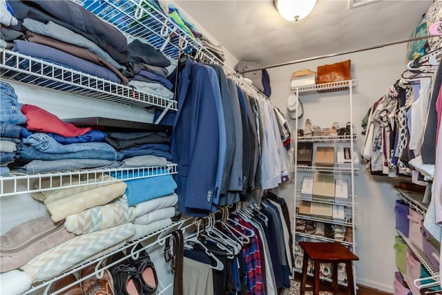 view of walk in closet