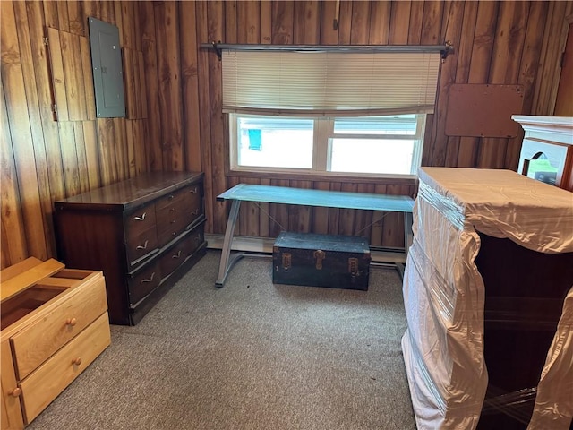 miscellaneous room featuring wood walls, carpet flooring, electric panel, and a baseboard heating unit