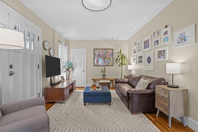 living area featuring wood finished floors, ornamental molding, and baseboards