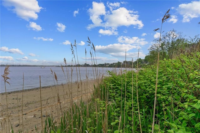 water view