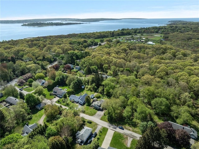 aerial overview of property's location with a large body of water and a forest
