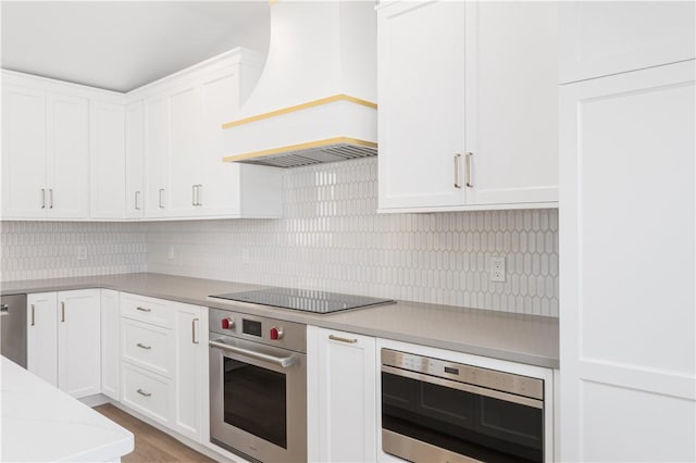 9 Stedman Rd, South Kingstown, RI 02879 - kitchen featuring custom range hood, stainless steel appliances, white cabinetry, and decorative backsplash