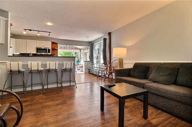 living room with dark wood-style floors