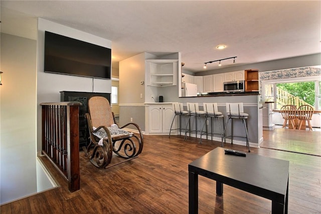 living room with wood finished floors and rail lighting