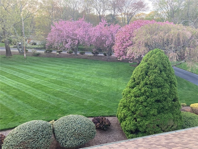 831 N Quidnessett Rd, North Kingstown, RI 02852 - view of green lawn
