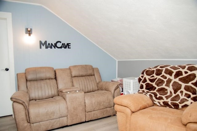 16 Gough Ave, West Warwick, RI 02893 - living area featuring light wood-style flooring and lofted ceiling