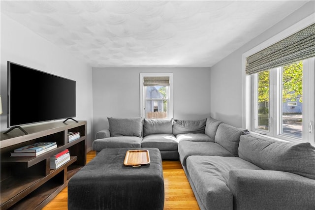 living room featuring wood finished floors