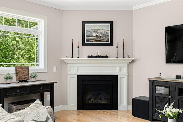 16 Kimberly Ct, North Kingstown, RI 02852 - living area featuring wood finished floors, healthy amount of natural light, a glass covered fireplace, and ornamental molding