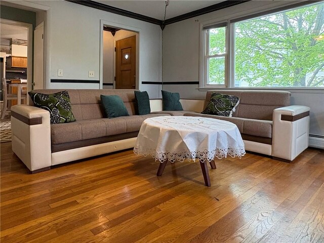 74 Lubec St, Providence, RI 02904 - living area with ornamental molding, plenty of natural light, and hardwood / wood-style flooring