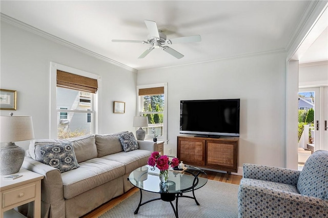 29 Webster St, Newport, RI 02840 - living area featuring plenty of natural light, wood finished floors, crown molding, and ceiling fan