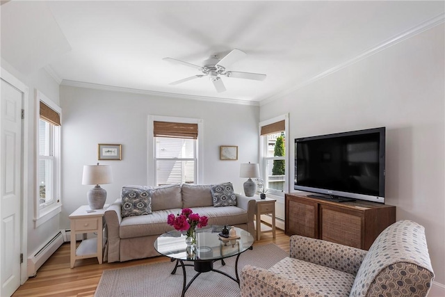 29 Webster St, Newport, RI 02840 - living room with a baseboard radiator, light wood-style floors, ceiling fan, and crown molding