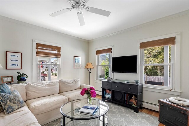 29 Webster St, Newport, RI 02840 - living room with light wood-type flooring, a baseboard radiator, ornamental molding, and ceiling fan