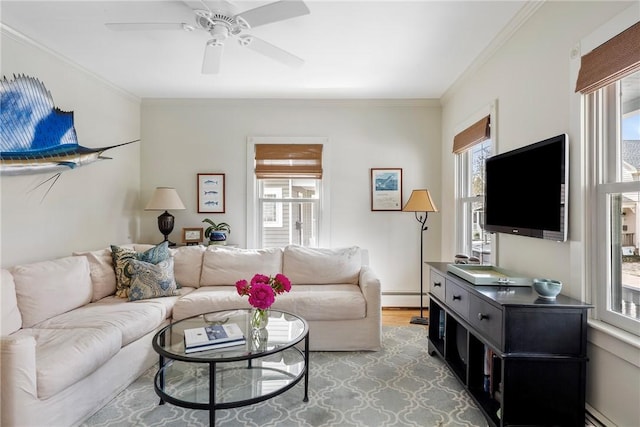 29 Webster St, Newport, RI 02840 - living room with healthy amount of natural light, a baseboard radiator, ornamental molding, and wood finished floors