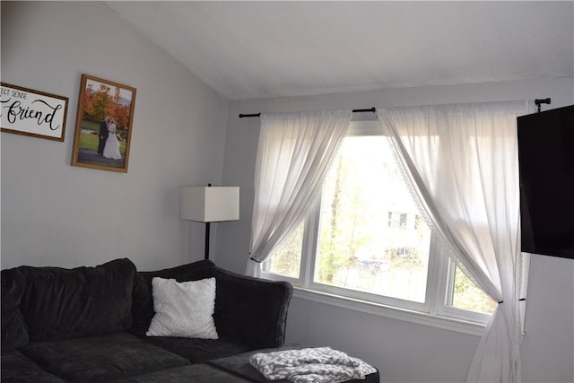 1 Watson Dr, Richmond, RI 02832 - living area with lofted ceiling and plenty of natural light