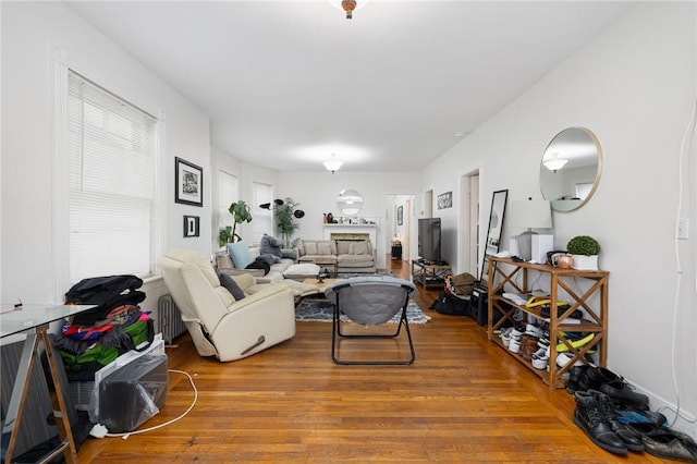 living room with hardwood / wood-style floors