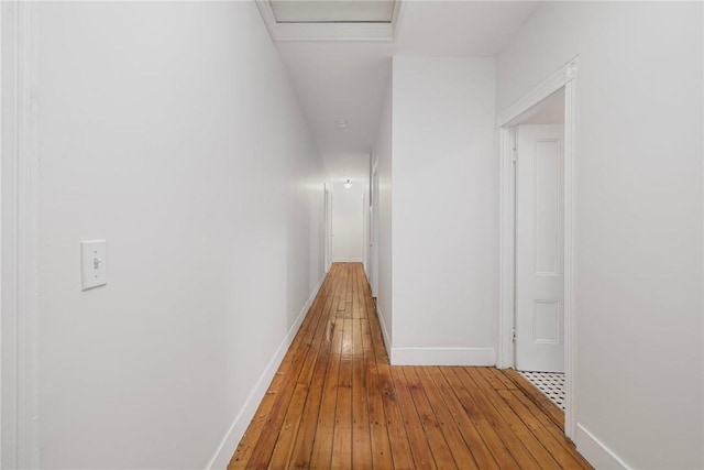 hallway featuring baseboards, light wood-type flooring, and attic access