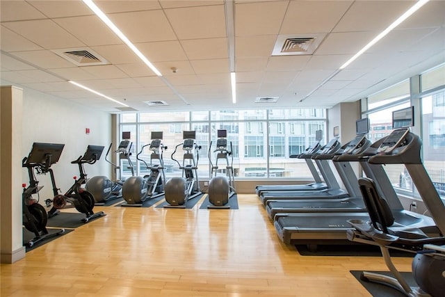 exercise room featuring wood finished floors, a wall of windows, and a paneled ceiling