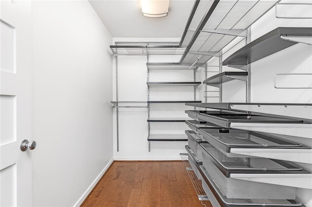 walk in closet featuring wood finished floors