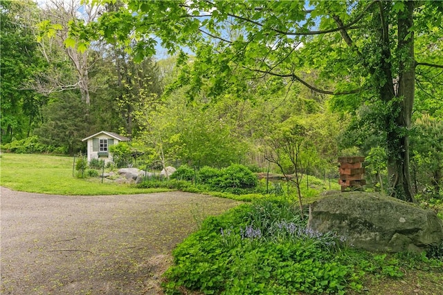 8001 Post Rd, North Kingstown, RI 02852 - surrounding community featuring a yard, a view of trees, and an outdoor structure