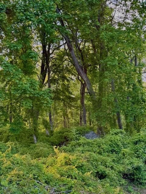 8001 Post Rd, North Kingstown, RI 02852 - view of wooded area