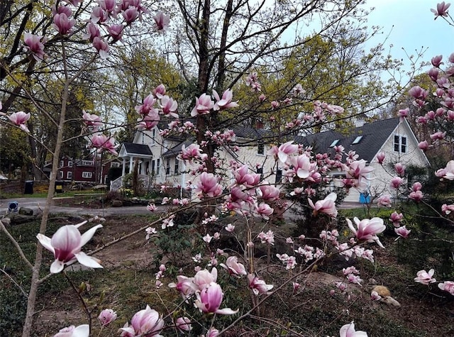 8001 Post Rd, North Kingstown, RI 02852 - view of yard
