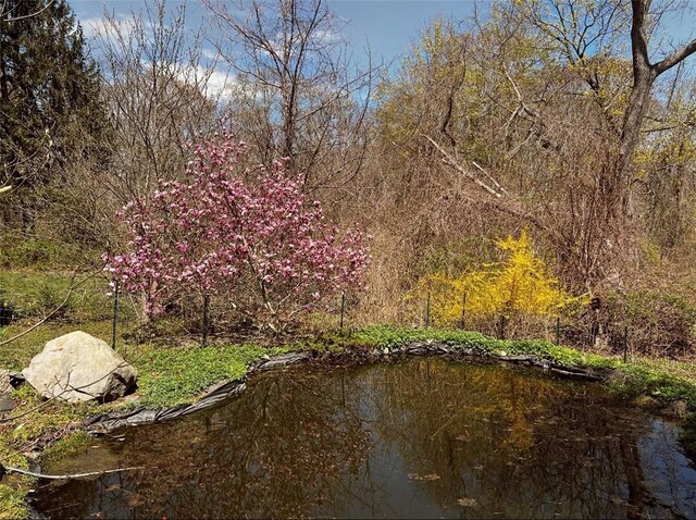 8001 Post Rd, North Kingstown, RI 02852 - view of local wilderness