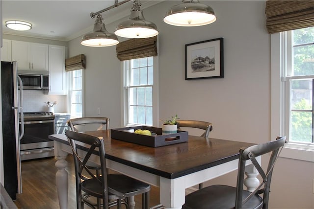 44 Bay St Unit B110, Westerly, RI 02891 - dining room featuring crown molding, plenty of natural light, and dark wood-style floors