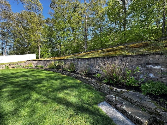 view of yard