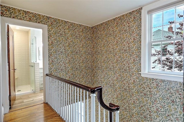 hallway featuring wallpapered walls, hardwood / wood-style floors, crown molding, and plenty of natural light