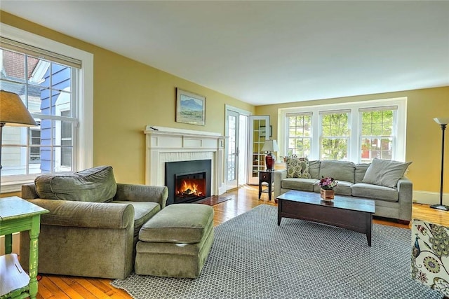living area featuring a fireplace with flush hearth and wood finished floors