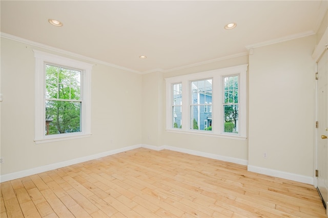 65 Evergreen St Unit 1, Providence, RI 02906 - photo 15