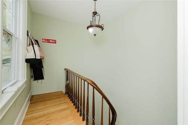 65 Evergreen St Unit 1, Providence, RI 02906 - photo 17
