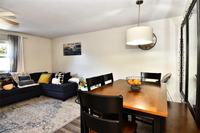 21 Apache Dr Unit D, Westerly, RI 02891 - dining space featuring wood finished floors, a textured ceiling, and a ceiling fan