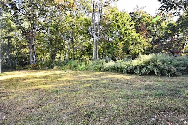 21 Apache Dr Unit D, Westerly, RI 02891 - view of green lawn