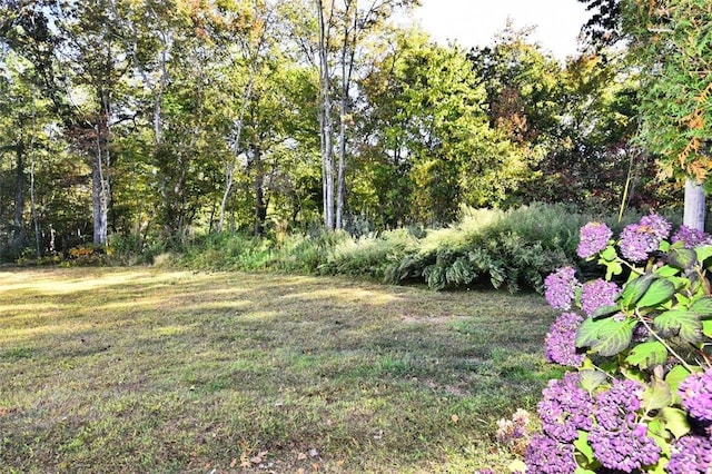 21 Apache Dr Unit D, Westerly, RI 02891 - view of grassy yard