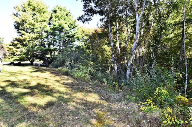 21 Apache Dr Unit D, Westerly, RI 02891 - view of local wilderness