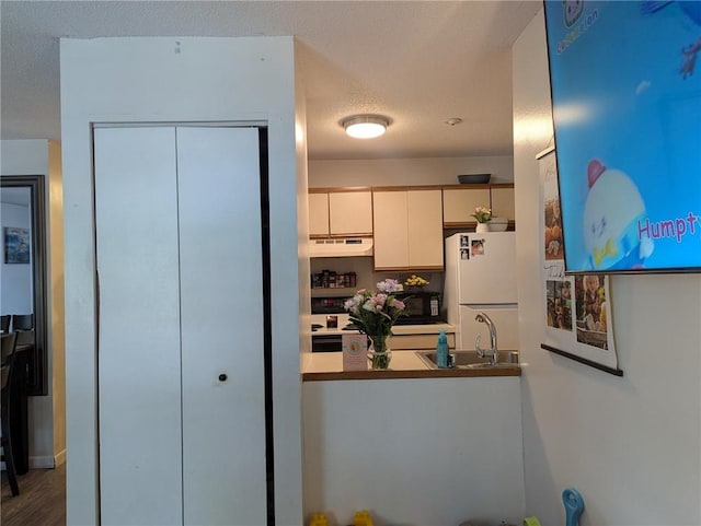 21 Apache Dr Unit D, Westerly, RI 02891 - kitchen with under cabinet range hood, freestanding refrigerator, a textured ceiling, black microwave, and wood finished floors