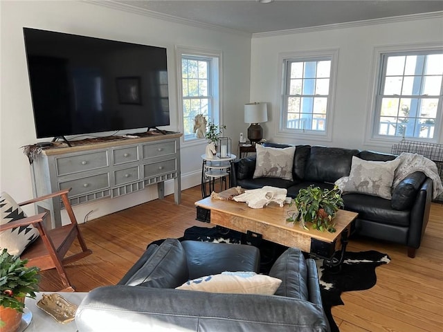 387 Camp Westwood Rd, Coventry, RI 02827 - living area featuring ornamental molding, plenty of natural light, and wood finished floors