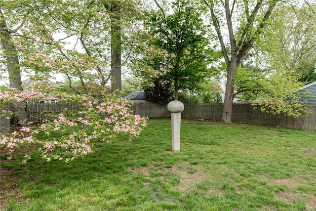 view of yard