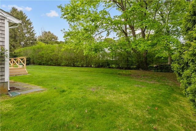 11 Cedar Ave, Middletown, RI 02842 - view of green lawn