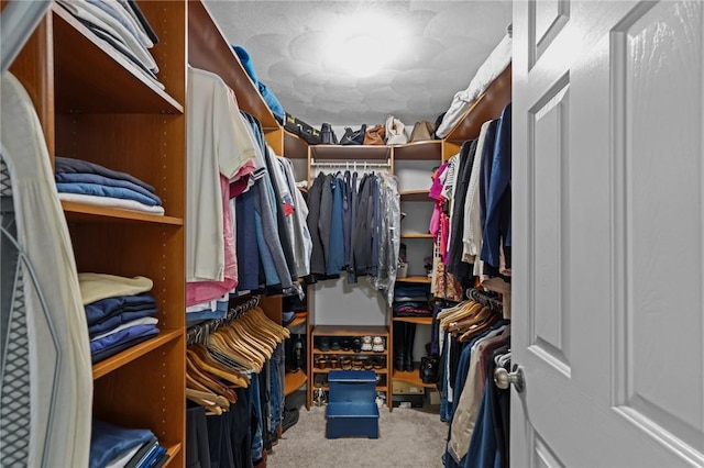 14 Ginger Trl, Coventry, RI 02816 - spacious closet featuring carpet floors